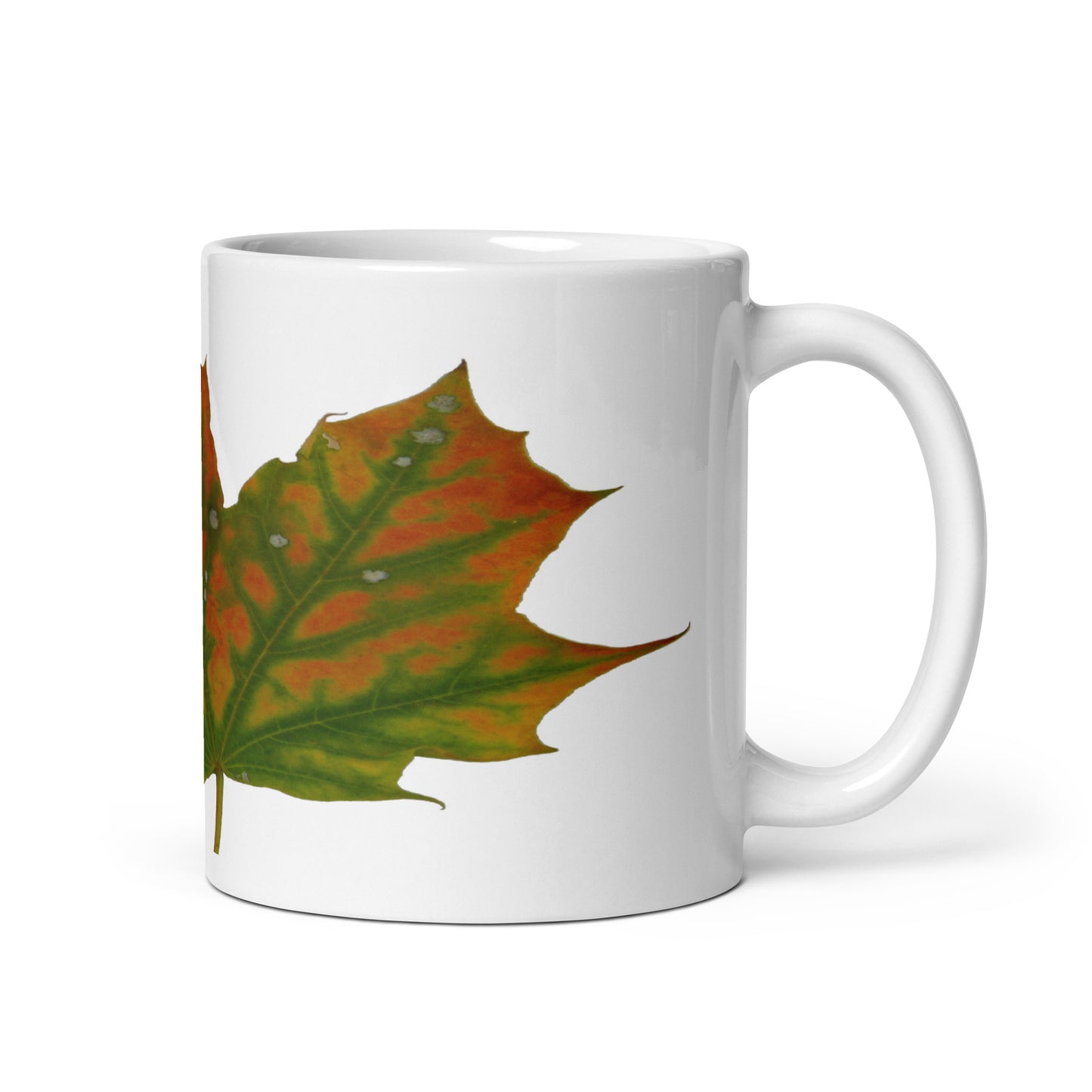 White Glossy Mug With A Print Of Autumn Leaf 1.1